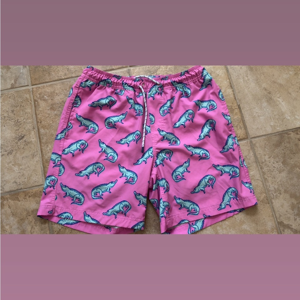 Pink Dinosaur Print Swim Trunks